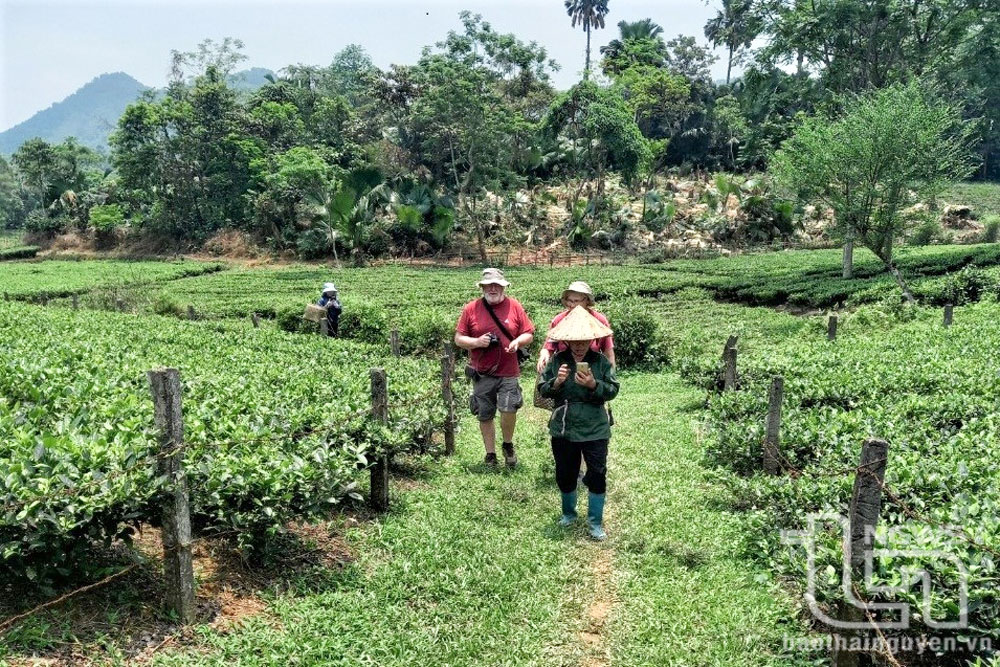 Làng du lịch bên đồi Khau Tý